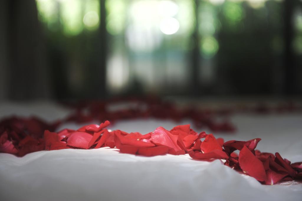 Zen Box House Hotel Янгшуо Екстериор снимка